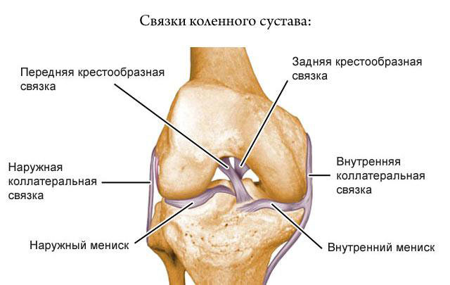 Другие причины боли колена